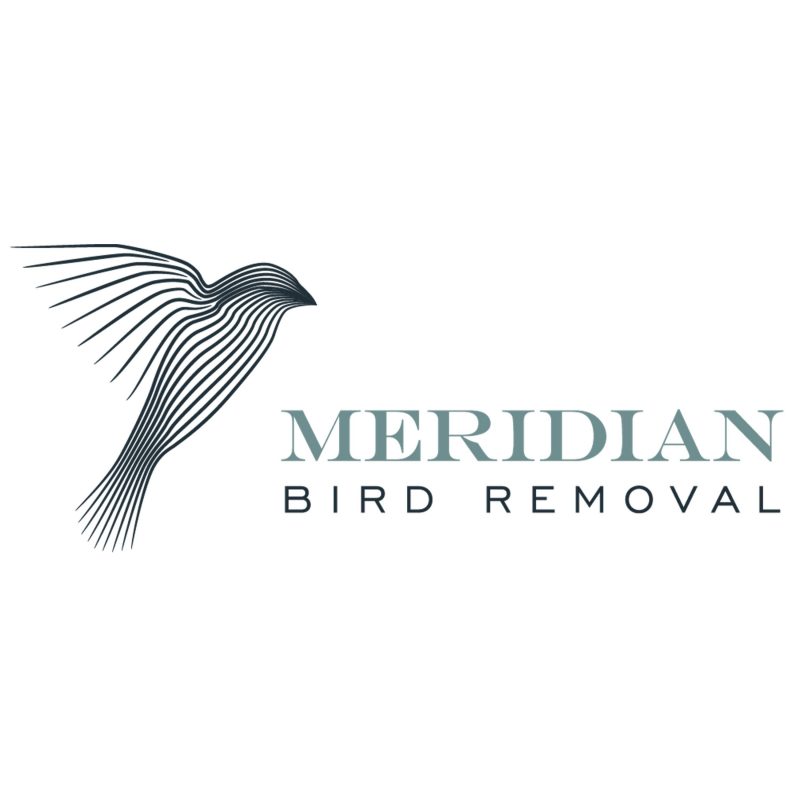 Meridian Bird Removal Logo