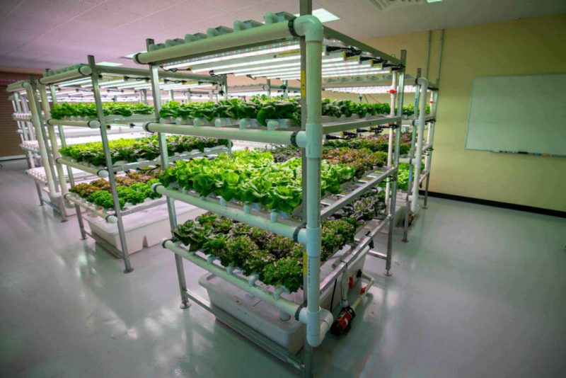 IALR, Virginia Tech, GO Virginia Region 3 adopt CEA roadmap to guide industry growth