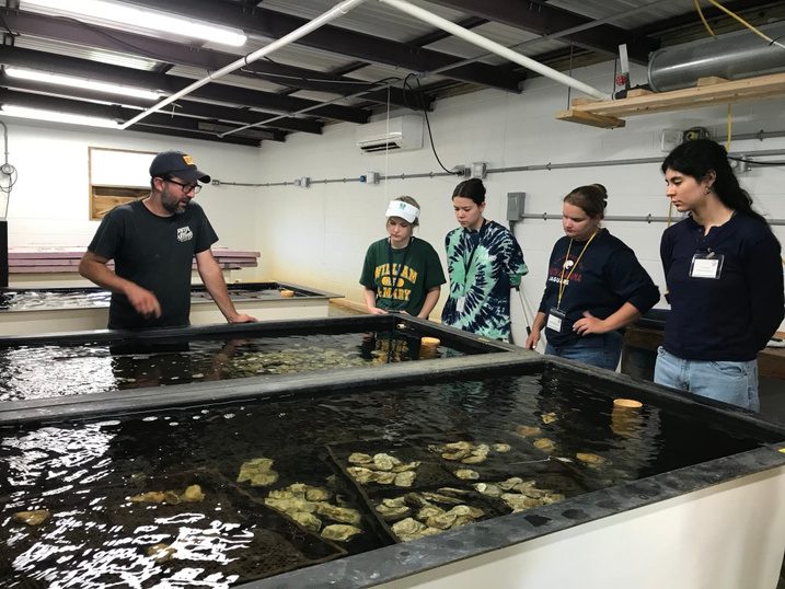 Students learn about shellfish aquaculture.