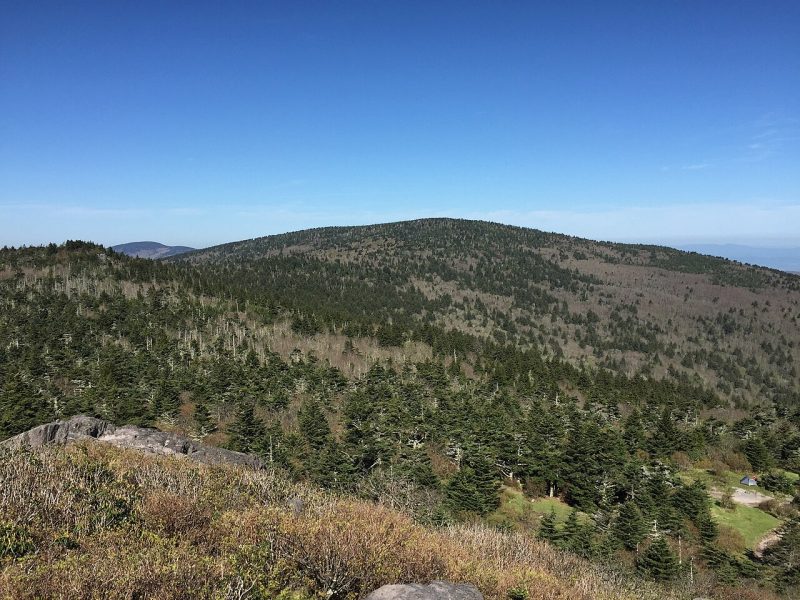 View of Mount Rogers from Pine Mountain