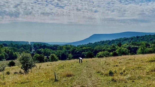 Picture of Shenandoah Valley 